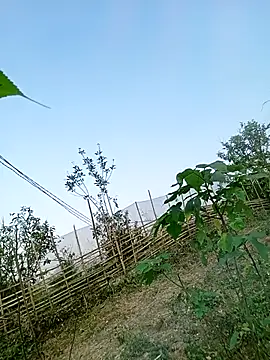 Snapshot of Chubbyhoney1 chatting on 03.31.26 Chubbyhoney1 online show from 03.31.26