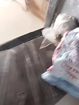 Wet BunnyFun online show from 02.25.26