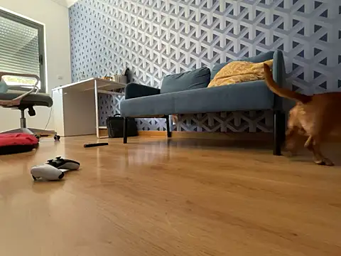 cumman789860 online show from 10.02.25