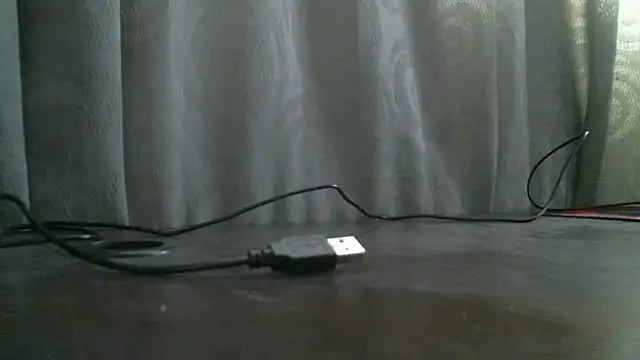  ari gato  online show from 11.04.25