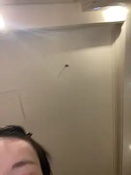 MengMeng0515 online show from 03.11.26