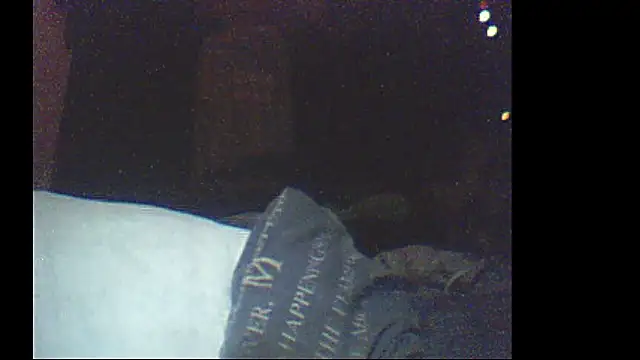 Snapshot of pietje1991 chatting on 01.11.26 pietje1991 online show from 01.11.26