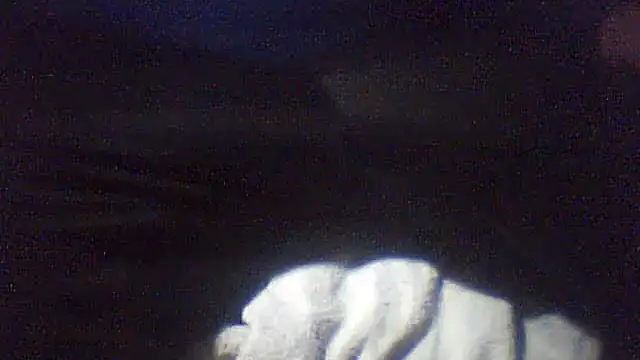 Snapshot of pietje1991 chatting on 02.10.26 pietje1991 online show from 02.10.26