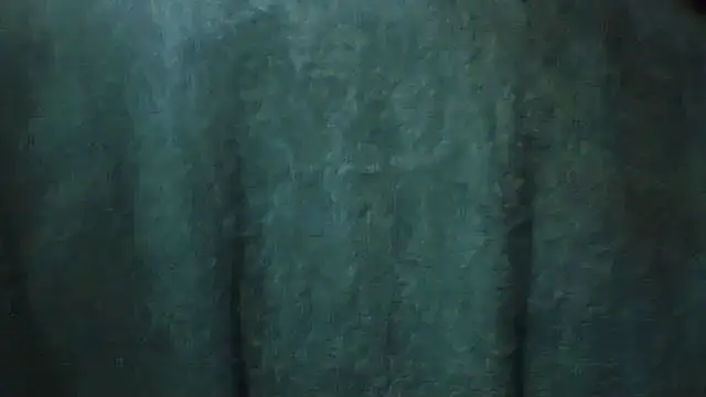 Snapshot of pietje1991 chatting on 02.28.26 pietje1991 online show from 02.28.26