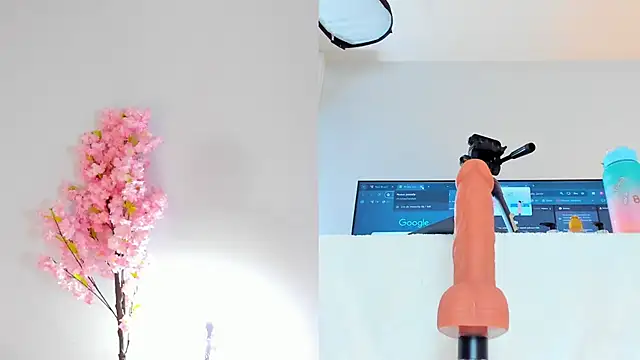 maily zanss online show from 11.21.25