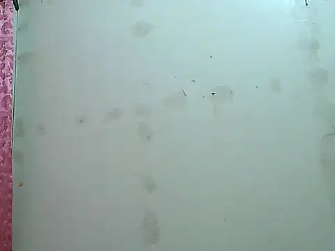 fresh rosie online show from 10.05.25