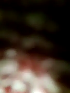 MaxB057 online show from 04.17.26