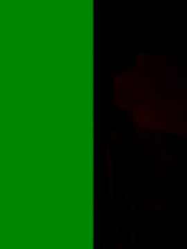 Snapshot of Devi-with-Ram chatting on 09.20.25 Devi-with-Ram online show from 09.20.25