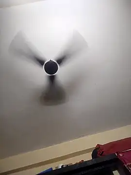 Snapshot of Devi-with-Ram chatting on 10.16.25 Devi-with-Ram online show from 10.16.25