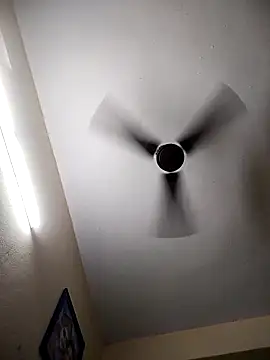 Snapshot of Devi-with-Ram chatting on 11.29.25 Devi-with-Ram online show from 11.29.25