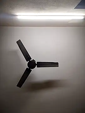 Snapshot of Devi-with-Ram chatting on 12.03.25 Devi-with-Ram online show from 12.03.25