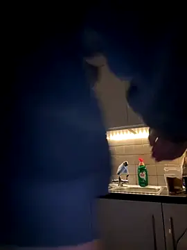 Michel huge online show from 11.27.25