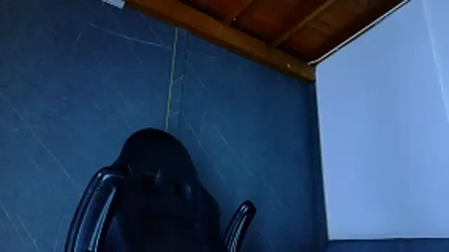 Snapshot of ALANNFERRER chatting on 02.25.26 ALANNFERRER online show from 02.25.26