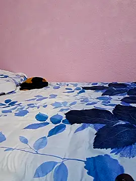 Snapshot of tharki-anand chatting on 02.27.26 tharki-anand online show from 02.27.26