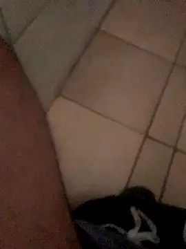 Lushen704 online show from 10.29.25