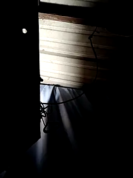 ShawnandDani7074 online show from 04.14.26