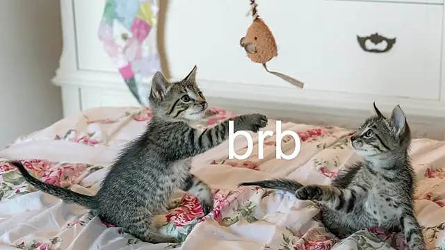 Pink girl0n online show from 03.25.26