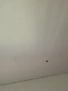 lana rousse01 online show from 09.09.25