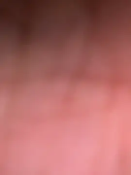 ninjabod online show from 10.30.25