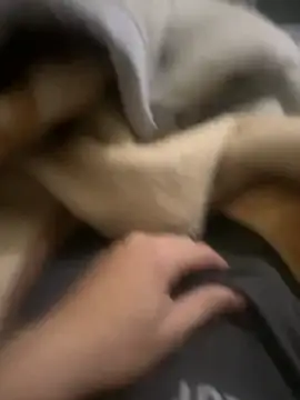 zackria online show from 12.20.25