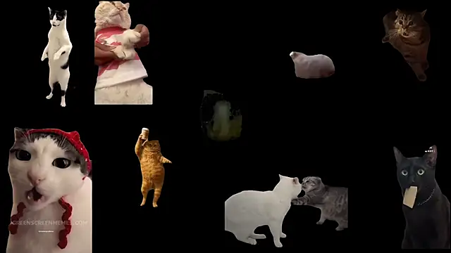 ch0wn m online show from 11.19.25