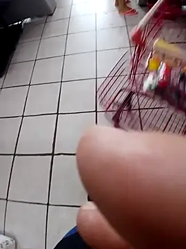 Snapshot of cicinha3657 chatting on 02.20.26 cicinha3657 online show from 02.20.26