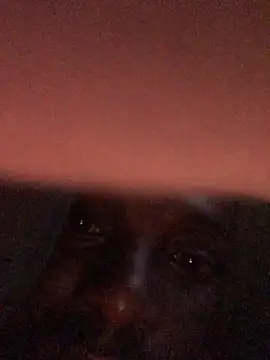 cuminsidebby online show from 04.17.26