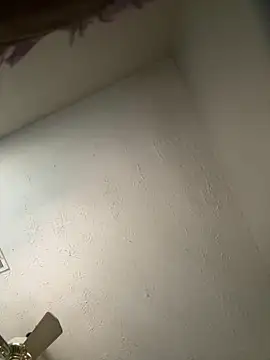 honestlychina online show from 10.03.25