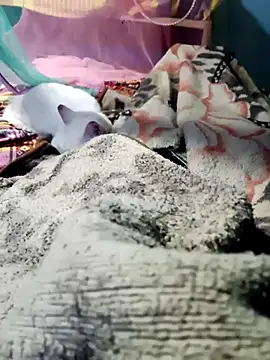 Snapshot of m11a2f3a4z5 chatting on 02.14.26 m11a2f3a4z5 online show from 02.14.26