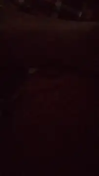 wanderboy1000 online show from 01.19.26