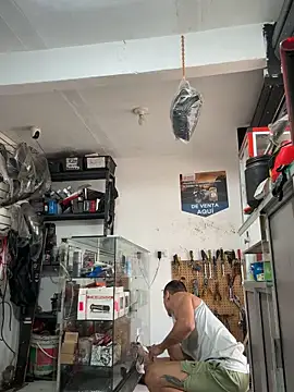 Terra-22cm online show from 10.15.25