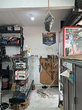 Terra-22cm online show from 10.25.25