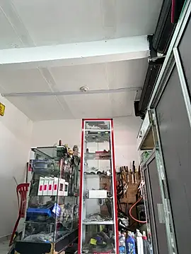 Terra-22cm online show from 03.26.26