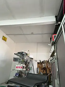 Terra-22cm online show from 04.08.26