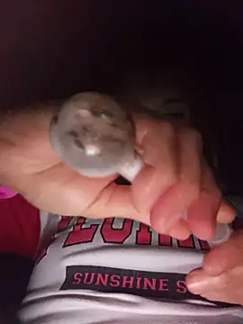 Tuperritahot online show from 03.31.26