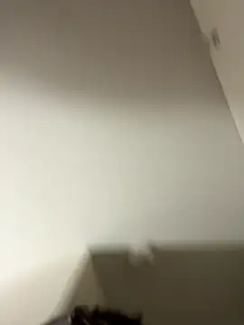 Tu GataLinda online show from 09.25.25