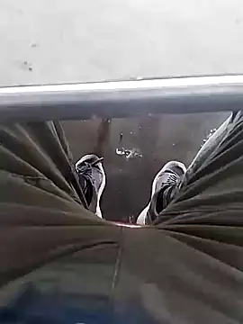 Snapshot of Aliyeni1 chatting on 12.01.25 Aliyeni1 online show from 12.01.25