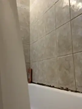 1mistaGoodWood online show from 11.30.25