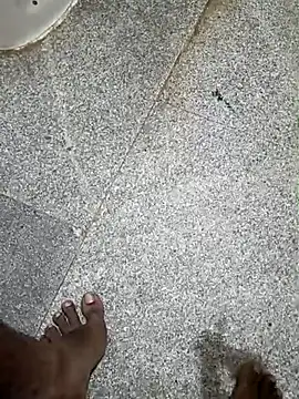 indian pavi online show from 12.22.25