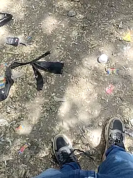 indian pavi online show from 02.03.26