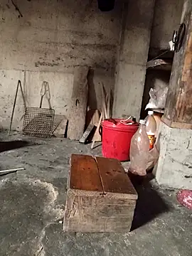 Snapshot of TinTin321 chatting on 03.03.26 TinTin321 online show from 03.03.26