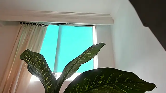 canelleGarces online show from 02.10.26