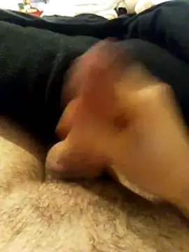 chrisdic27 online show from 03.08.26