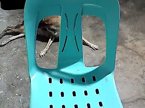 sexyannie25 online show from 11.24.25