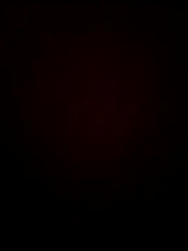 chocolate bella online show from 01.13.26