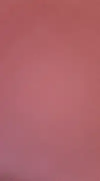 MEAT4urGRILL online show from 02.12.25