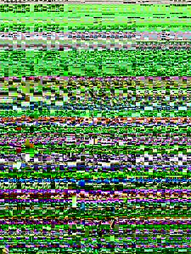 lynn9000 online show from 11.20.25