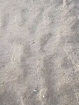 sarahkat86 online show from 11.05.25