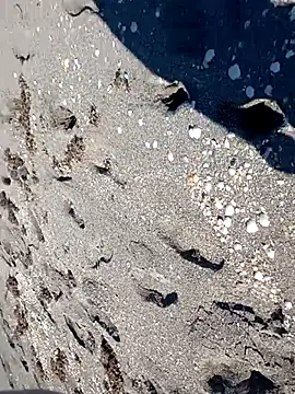 sarahkat86 online show from 11.14.25