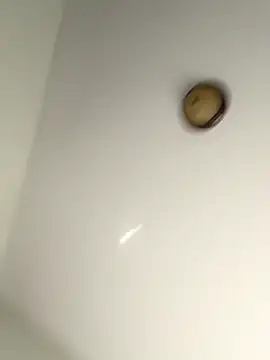 lilcubangoddess online show from 10.28.25